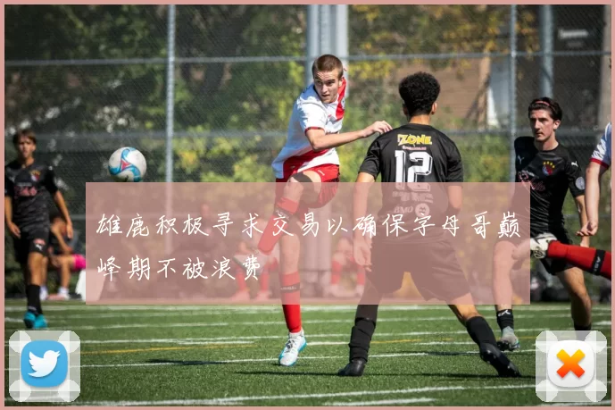 雄鹿积极寻求交易以确保字母哥巅峰期不被浪费